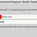 thunderbird_saisie_password.png