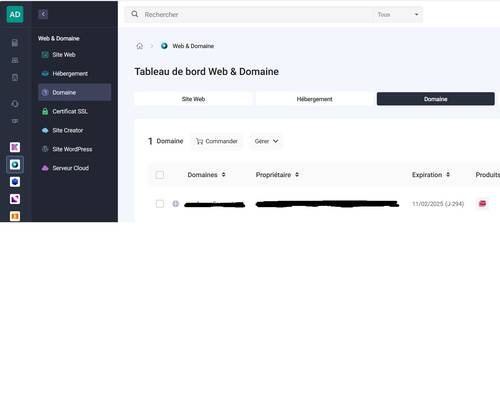 infomaniak_dns_1.jpg