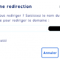 redirection-domaine-d1.png
