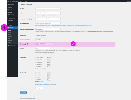 wp-settings_changelangue.png